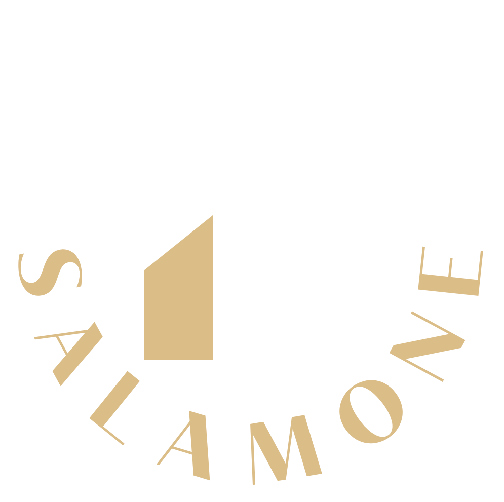 Logotipo oficial Descubrí Salamone